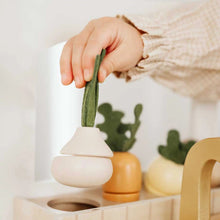 Load image into Gallery viewer, Hand holding a small plant over a white pot with more plants in the background