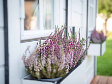 Load image into Gallery viewer, Close up of the front window and flower box of Kids Outdoor Playhouse Arctic Nario by WholeWoodPlayhouses